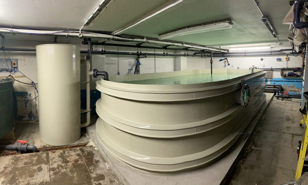 SeaLife Adventure New Quarantine Shark Tank
