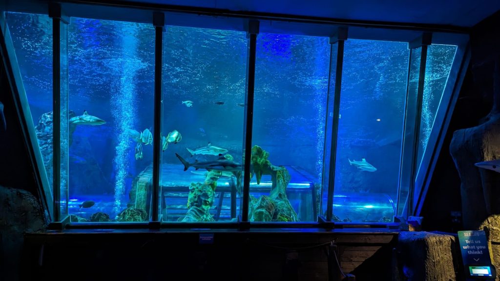 500m3 Ocean Tank Pump Installation!