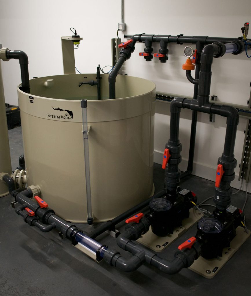 Life Support System